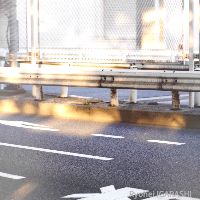 展示画像sakai.fumika