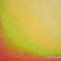 展示画像sakai.fumika