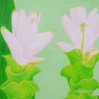 展示画像sakai.fumika