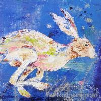 展示画像sakai.fumika