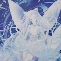 展示画像sakai.fumika